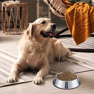 8 Pack Stainless Steel Dog Bowl Metal Dog Bowls with Rubber Base Nonslip Pet Bowls Cat Feeding Bowls Pet Food and Water Bowls for Indoor Small Medium Large Dogs Cats Pets 186 Oz  Cucciolini Doodles 8 pack stainless steel dog bowl metal dog bowls with rubber base non slip pet bowls cat feeding bowls pet food and water bowls for indoor small medium large dogs cats pets 18 6 oz   cucciolini doodles