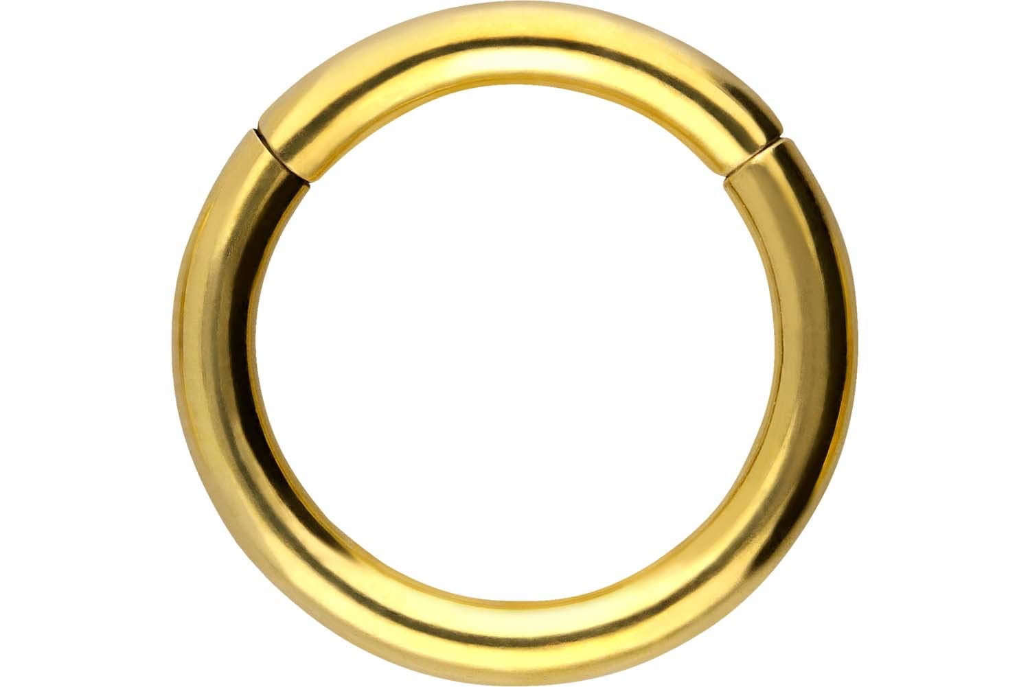 PIERCINGLINE Anillo segmento Clicker de acero quirúrgico – Piercing en oro, plata, rosa, negro o azul – para nariz, tabique, oreja, hélice o tragus — view 57