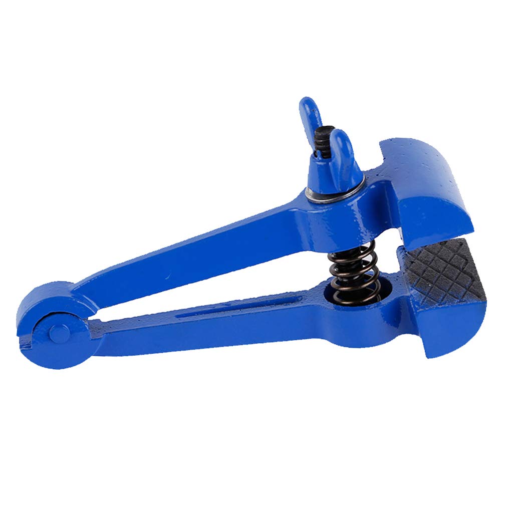 joyMerit - Stahl Feilkloben Zange - 120 mm, Blau