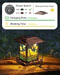 DesGully Solar Bird Feeders pour l'extérieur - 2.5 LBs Métal sauvage Grand & Petit mangeur d'oiseaux pour la suspension extérieure, idées cadeaux pour les graines de cour de jardin d'Avian Enthusiast (Proof-Chew, résistance aux intempéries)