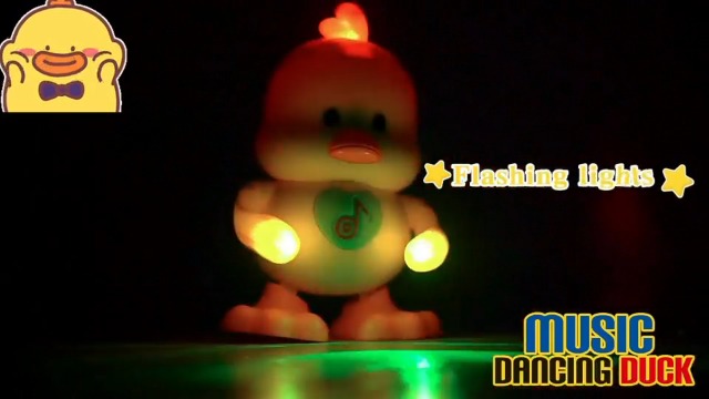 DANCING DUCK フライト&ライブカードセット 51JK0UHEpaL.jpg