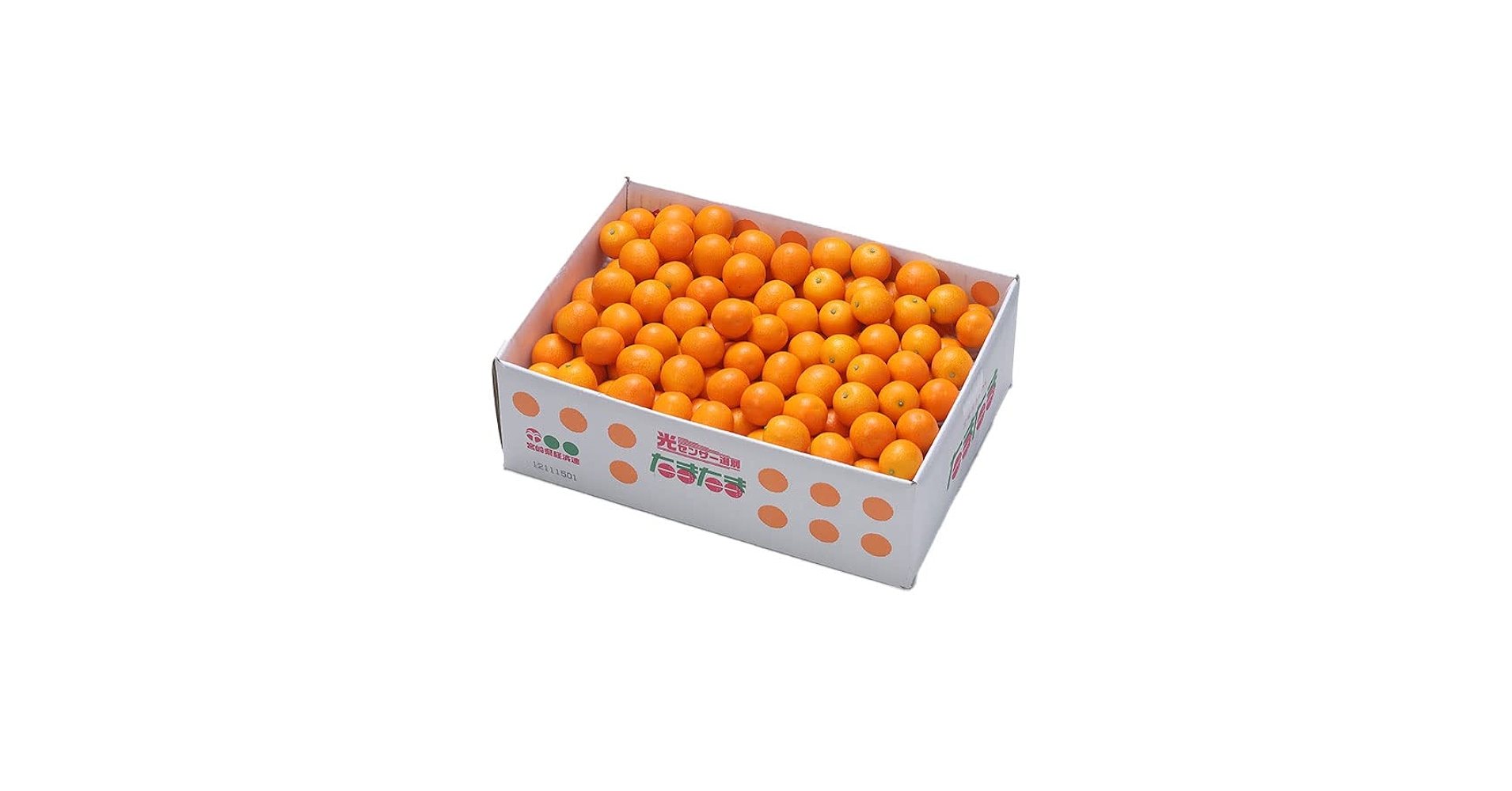 Amazon.co.jp: きんかん たまたま 完熟きんかん 秀品 Lサイズ