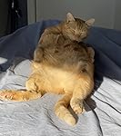 Review Image by William Krutz William Krutz