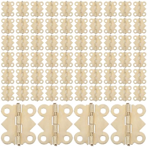 FIXOSHEE 100 gX  FlWt ^ؐWG[{bNXp LrlbgC nhChH|idグ