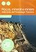 Rocce, Minerali E Miniere. Storia Geologica Dell'arcipelago Toscano - 3