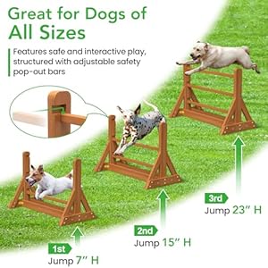 Dog Agility Set, Wooden Dog Agility Jumps & Dog Hurdles,Dog Agility Equipment, Dog Agility Course,Dog Agility Course Backyard Set,Obstacle Course for Dogs,Dog Hurdles Training Equipment Dog Agility Set Wooden Dog Agility Jumps Dog HurdlesDog Agility Equipment Dog Agility CourseDog Agility Course Backyard SetObstacle Course for DogsDog Hurdles Training Equipment