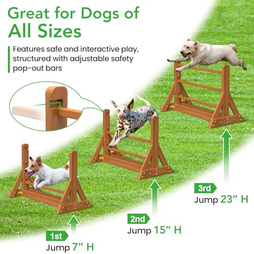 Dog-Agility-Set-Wooden-Dog-Agility-Jumps-Dog-HurdlesDog-Agility-Equipment-Dog-Agility-CourseDog-Agility-Course-Backyard-SetObstacle-Course-for-DogsDog-Hurdles-Training-Equipment Dog Agility Set Wooden Dog Agility Jumps Dog HurdlesDog Agility Equipment Dog Agility CourseDog Agility Course Backyard SetObstacle Course for DogsDog Hurdles Training Equipment