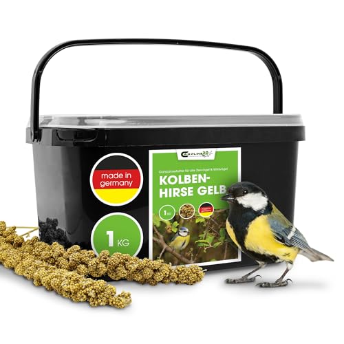 Kolbenhirse gelb 1 Kg - Ganzjähriges Vogelfutter - Für Ziervögel & Wildvögel