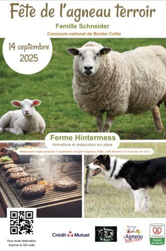 『La fête de l'agneau et du terroir à Waldhambach, c'est demain dimanche』のカバーアート