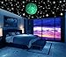 Glow in the Dark Stars w/ Bonus 20cm Full Moon Wall Decal -2018 DESIGN- Set of 230 Stars & Large Moon, Long Lasting, Realistic and Bright Glow: Perfect Gift, Room Decor, Decoration and Wall Sticker
