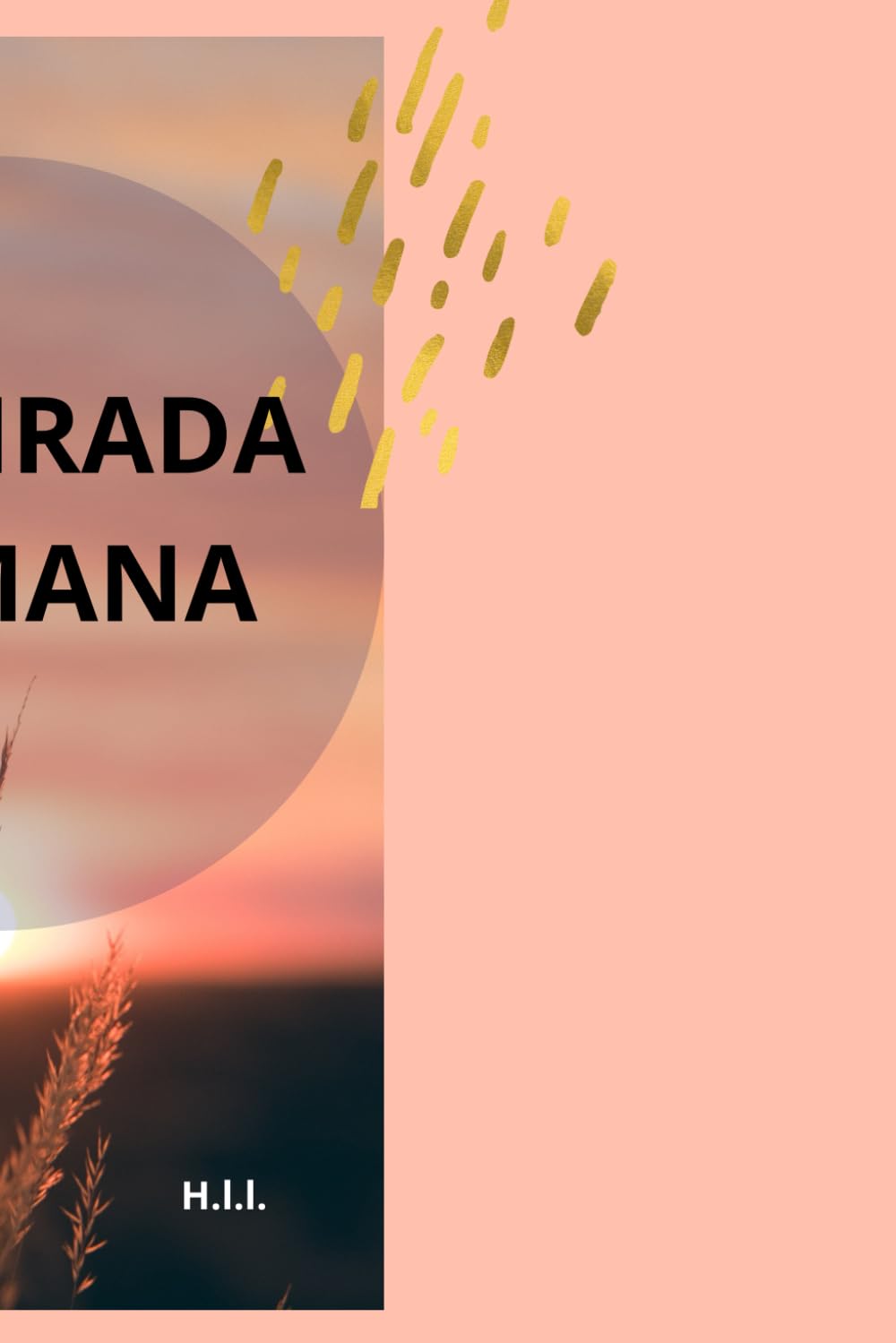 La mirada humana