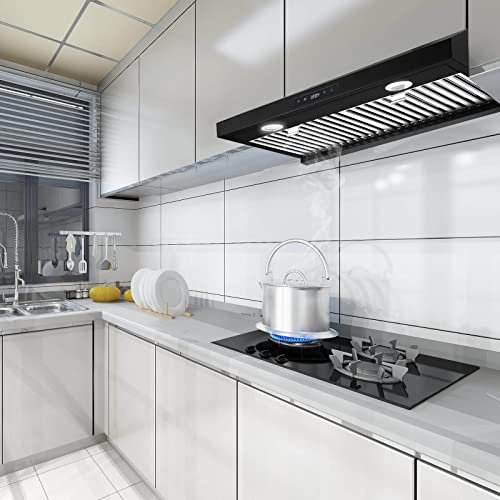 Sndoas Range Hood 30 Inch Under Cabinet,Black Kitchen Range Hood W/ 600 Cfm,Stainless Steel Over Stove Vent Hoods,Ducted Kitchen Hood W/Touch Control Panel,3 Speed Vent Exhaust Fan,Dual Motors #TOP5