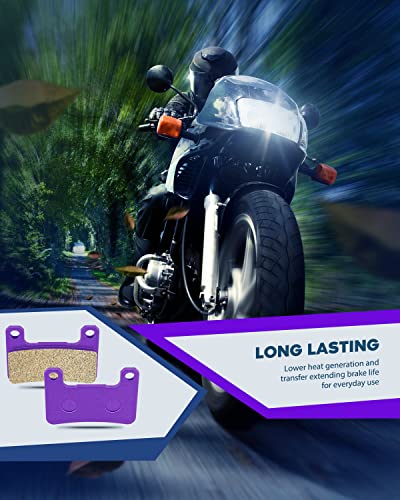 Eccpp Fa379 Fa254 Brake Pads Front And Rear Carbon Fiber Replacement Brake Pads Kits Fit For 2006-2009 Suzuki,2008-2009 2011-2012 Suzuki Hayabusa,2013 Suzuki Hayabusa Gsx1300Ra Abs #TOP4