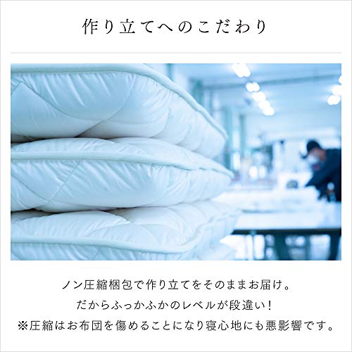 アプロディーテ 日葵 Himari の価格比較 Heim ハイム