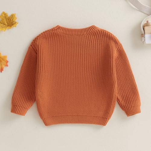 toddler knit sweater pullover blouse pumpkin sweater baby girl boy winter fall clothes