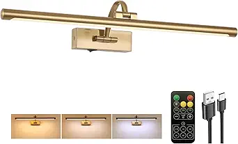 Picture Light Battery Operated with Remote, 3CCT Dimmable Picture Light for Paintings, Brass Rechargeable 24 inch Battery Operated Wall Sconce for Art Lighting Gallery Portrait Artwork