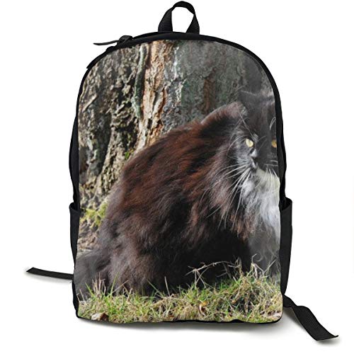 Preisvergleich Produktbild Katzen-Rucksack mit Fellgras-Ständer, Schulrucksack, Büchertasche, Reisetasche, Laptoprucksack, lässiger Tagesrucksack für Kinder, Studenten, Erwachsene