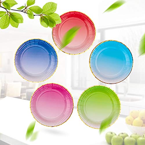 Ottin Ombre Rainbow Party Paper Plates 9'' 60 Counts 5 Mixed Colors Assorted Disposable Plates For Birthday Wedding Bridal Shower Baby/Bridal Shower Engagement Retirement #TOP5