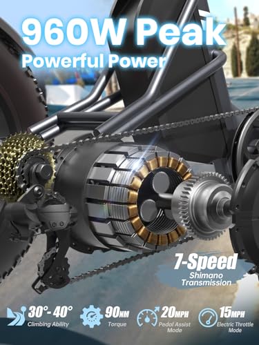 PUCKIPUPPY Dual Battery Electric Tricycle with 110-Mile High