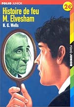 Download Histoire de feu M. Evelsham PDF