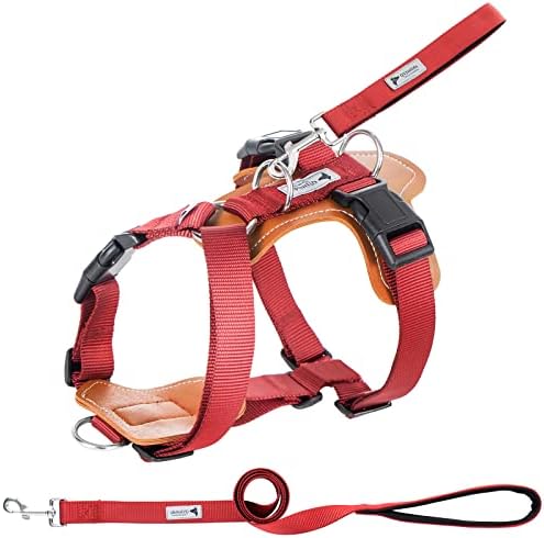 Elegant Dog Harness and Leash Set, Leather No Pull Dog Harness with Easy Control Removable Handle, Adjustable Pet Vest Harness for All Breeds, No-Choke Pet Oxford Vest for Small Medium Dogs (Red,L)
