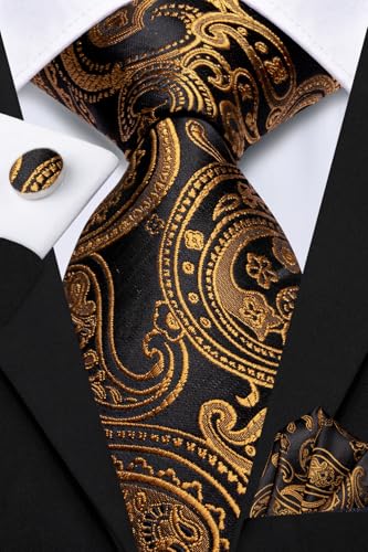 Image of Hi-Tie Mens Paisley Floral Striped Ties Set Silk Necktie and Lapel Pin for Men Pocket Square Cufflinks Set Business Wedding