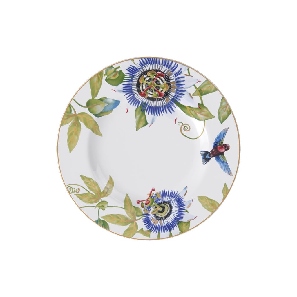 Villeroy & Boch Flat Plate - Amazonia Round Plate Gift