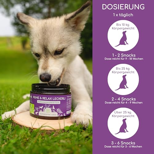 Beruhigungs-Snack für Hunde | Ruhe & Relax Leckerli | Gegen Stress und Angst | Mit Baldrian bei Anspannung und Johanniskraut für innere Ruhe