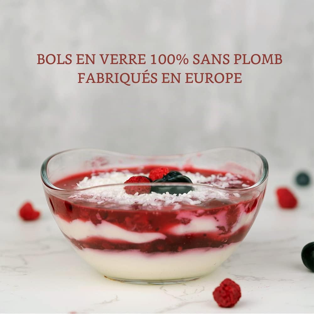 NORDIC SCHILLER Dessert Bols en Verre, Lot de 12 310ml SANS PLOMB Bols à Dessert en Verre, Verres à Dessert, Bols de Service, Bols à Sauce, Plats à Sauce, Tasses à Desserti Bol à Crème Glacée