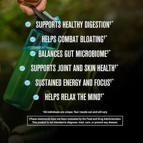 Image of ROUNDHOUSE PROVISION Morning Kick Greens, Strawberry Lemonade, 30 Servings | Greens Superfood Powder for Gut Health, Sugar Free, Caffeine Free, Ashwagandha, Collagen Peptides, Probiotics, Chuck Norris