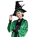 Disguise Womens Professor Mcgonagall Costume, Official Deluxe Harry Potter Wizarding World Dress And Hat Adult Sized, Multicolored, Plus 18-20