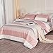 Litanika Pink Twin/Twin XL Comforter Set for Girls - 2 Pieces Blush Twin Extra Long Size Lightweight Bedding Set, All Season Down Alternative Comforter