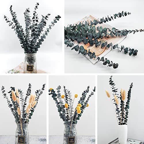 12 Pcs Eucalyptus Branches Dried Eucalyptus Stems For Wedding Home Diy Party Restaurant Hotel Office Decoration (Blue) #TOP4