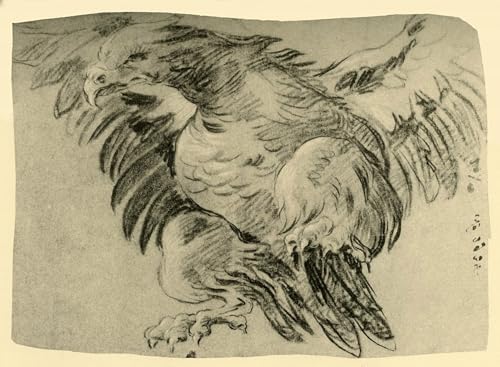 Image sur toile oiseau nordique pour décorer une chambre zen