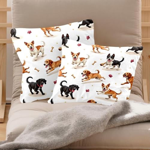 Housses de coussin velours double face de qualité supérieure 50x50