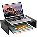 DESIGNA Metal Computer Monitor Stand for Desktop, Laptop or TV Riser, Black