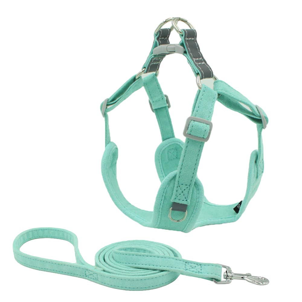 BONAWEN Puppy Harness Leash Set Lightweight Adjustable No Pulling Dog Vest Heavy Duty(Green,2XS)