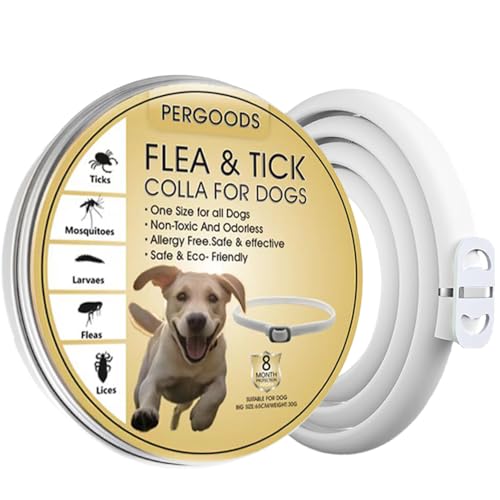 Collare Antipulci e Zecche per Cani, Antiparassitario per Tutti i Tipi di Cani, Collare Antipulci Cane con Oli Essenziali 100% Naturali, 8 Mesi di Efficacia Protezione (65cm)