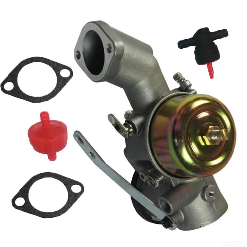 Carburateur moteur 491026 281707 491031 pièce pompe à eau thermique