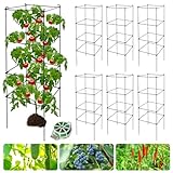 LAKNUAL 6 Packs Tomato Cages for Garden, 12'×12'×39' Plant Support Cage with Different Spacing, Green Metal Trellis for Climbing Plants Like Cucumber, Flowers