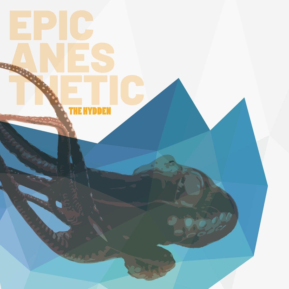 Epic Anesthetic [VINYL]