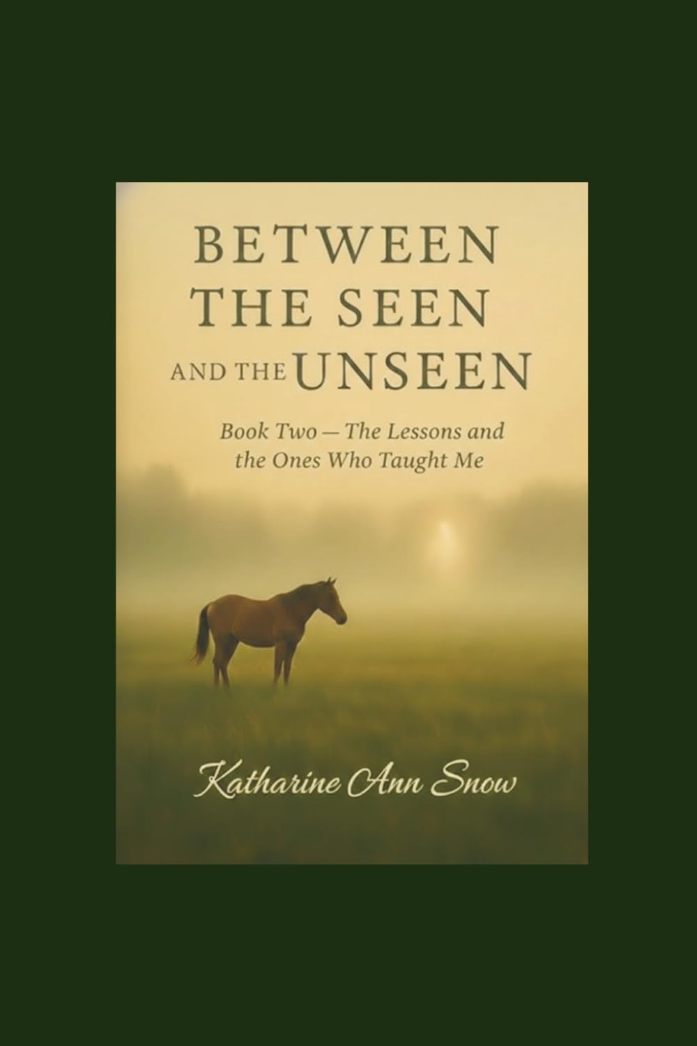 Between the Seen and the Unseen: Book Two — The Lessons and the Ones Who Taught Me