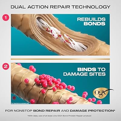 OGX Repair & Protect Bond Protein Repair Shampoo, Lightweight Hair Wash Cleanses & Targets Damaged Hair for Effective Bond Repair, Formulated without Parabens, 13 fl. oz