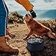 Faltbar Reisenapf für Hunde, 1 Stück 1,5L Hund Trinknapf, Tragbar für Leicht Fressnapf Hunde für unterwegs, Wassernapf mit Reißverschluss für Haustier im Freien, Laufen, Bergsteigen, Camping