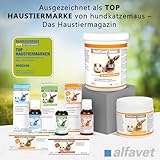 Alfavet RodiCare Appetit für schlecht fressende Nager, Ergänzungsfuttermittel für Kaninchen, Meerschweinchen und Kleinnager, 15 ml mit Dosierspritze