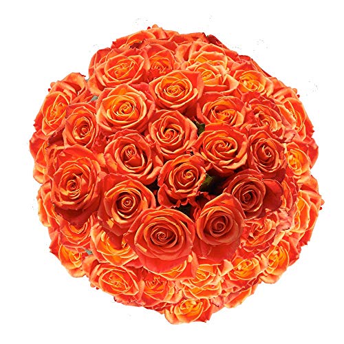 GlobalRose 150 Orange Roses- Fresh Flowers- Beautiful Bright Blooms for 