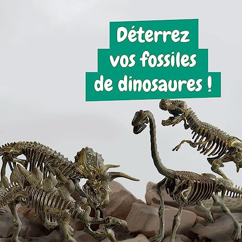 Science4you - Kit de Fouille de Fossiles 4 en 1 pour Enfants 5 6 7 8 9 10 Ans - Excaver et Assembler 4 Dinosaures: T-Rex, Triceratops, Velociraptor et Stegosaurus - Jouet Idéal pour Filles et Garçons