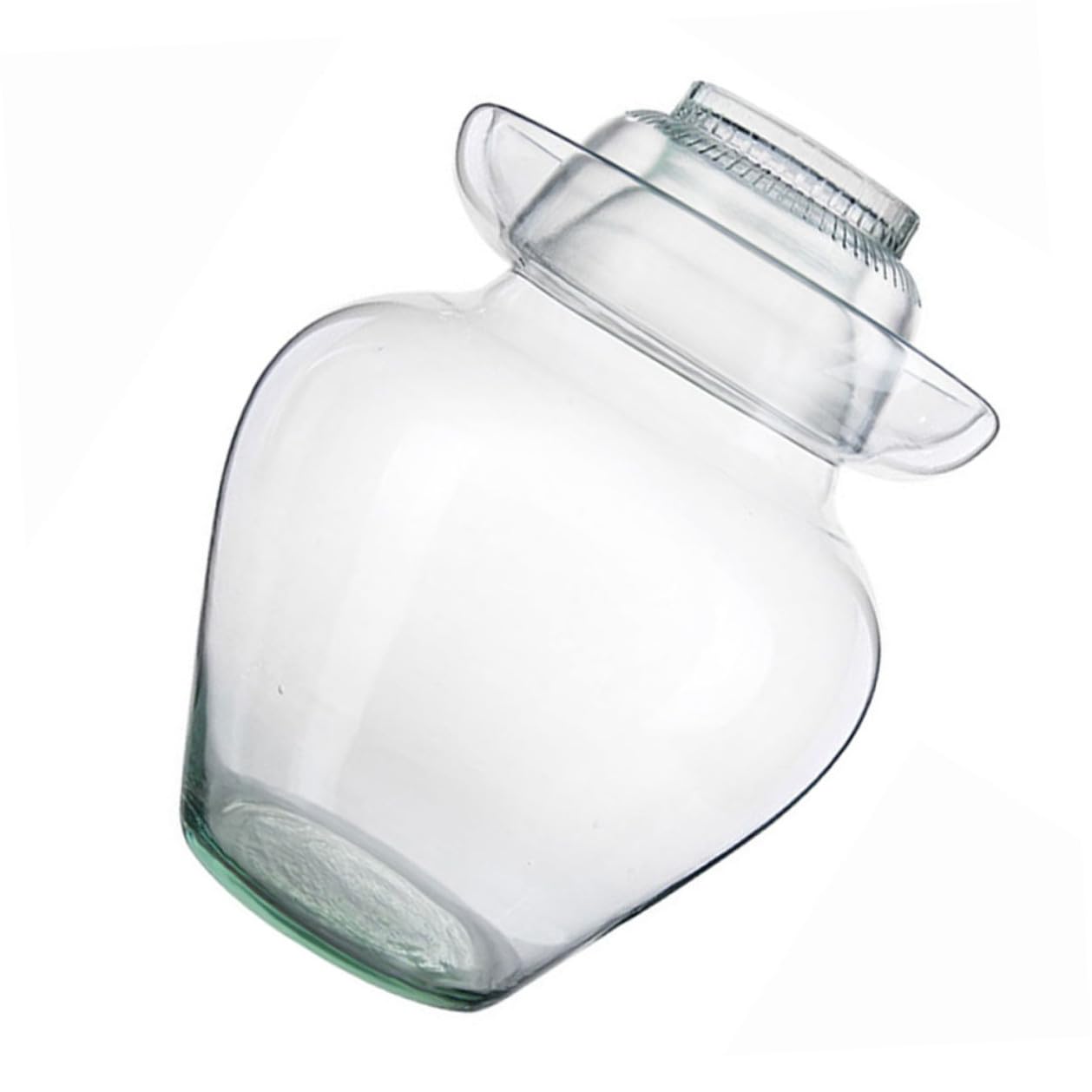 BESPORTBLE Tarro de Vidrio para Fermentación y Encurtidos Tapa Hermética, Frascos para Kimchi y Conservas, Recipiente para Almacenamiento de Alimentos en Cocina