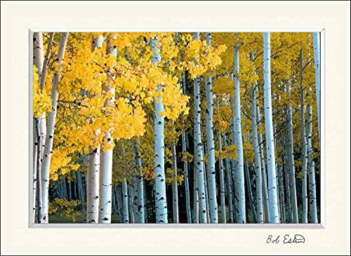 11 X 14 Wall Art Decor Including Photograph of Forest of Yellow Aspen Trees During Fall Foliage