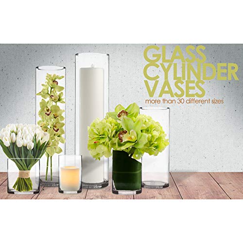 CYS EXCEL 10" Wide Vase, Hand BlownGlass Cylinder Vase Thickness 1/4